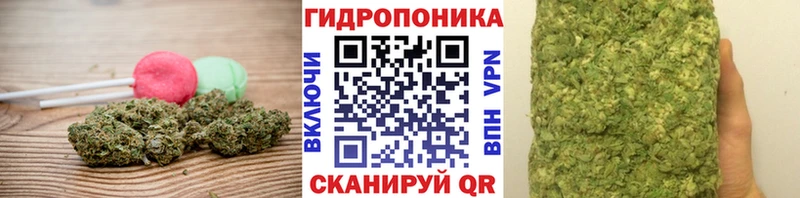 Canna-Cookies марихуана  OMG сайт  Богучар 