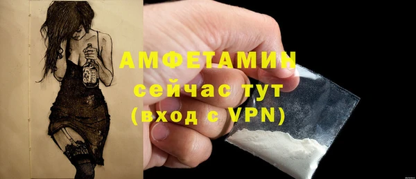 таблы Богородицк