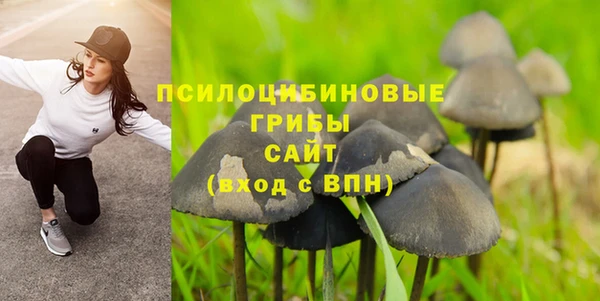 марки lsd Белокуриха