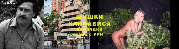 таблы Богородицк