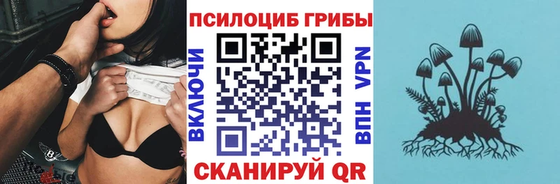 Псилоцибиновые грибы Psilocybine cubensis Богучар